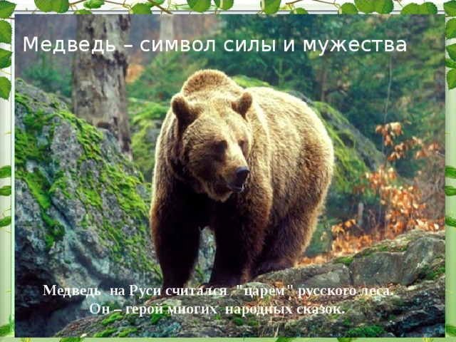 Медведь – символ силы и мужества  Медведь на Руси считался 
