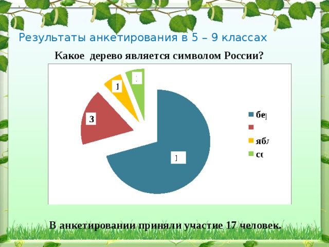 Результаты анкетирования в 5 – 9 классах Какое дерево является символом России? В анкетировании приняли участие 17 человек. 