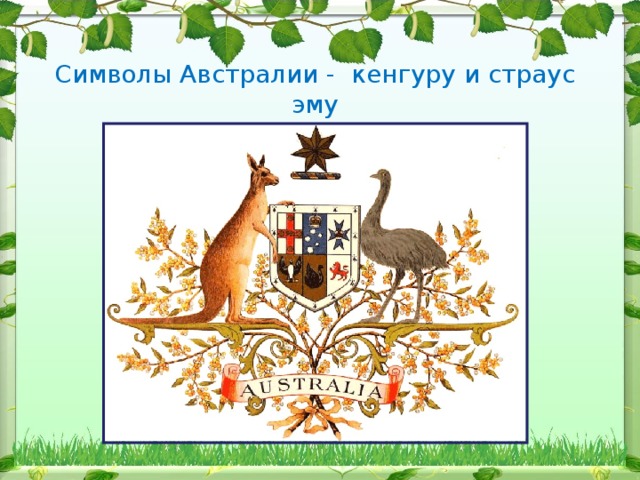 Какой символ австралии. Символы Австралии. Кенгуру символ Австралии. Кенгуру и эму символ Австралии. Герб страус.
