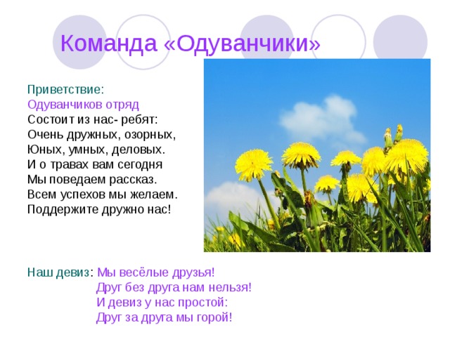 Слова букв одуванчик. Одуванчики девиз. Одуванчики название отряда. Отряд одуванчики девиз. Отряд одуванчик девиз и речевка.