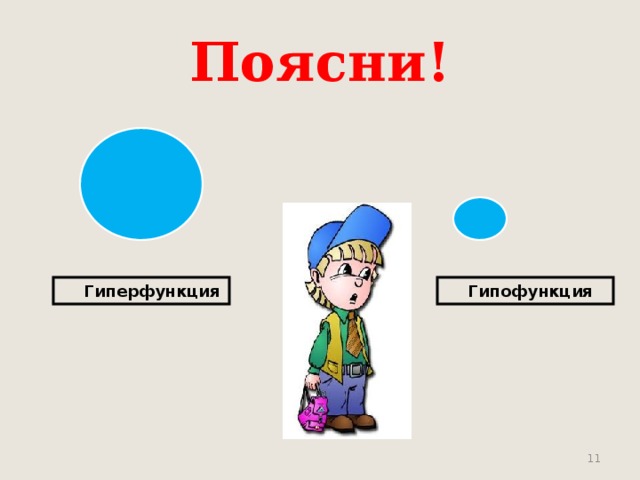 Поясни!  Гиперфункция  Гипофункция  