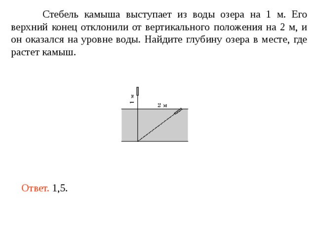  Стебель камыша выступает из воды озера на 1 м. Его верхний конец отклонили от вертикального положения на 2 м, и он оказался на уровне воды. Найдите глубину озера в месте, где растет камыш. Ответ. 1,5. 