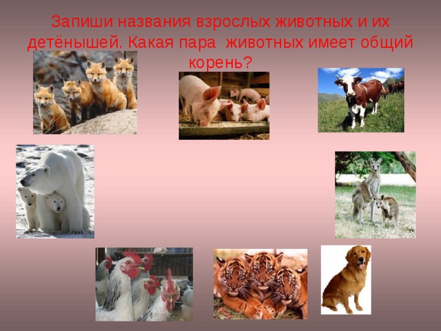 Запиши названия взрослых животных и их детёнышей. Какая пара животных имеет общий корень? 