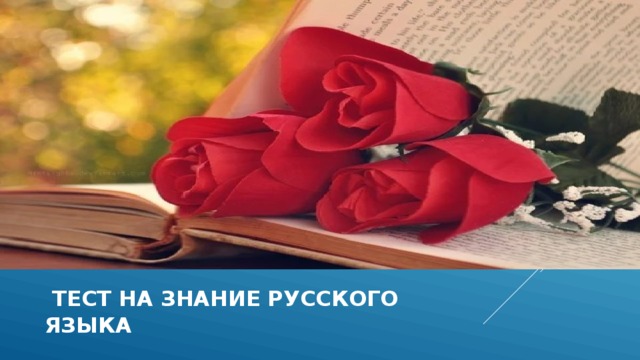  тест на знание русского языка 