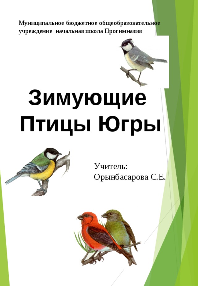 Презентация по теме Зимующие птицы Югры