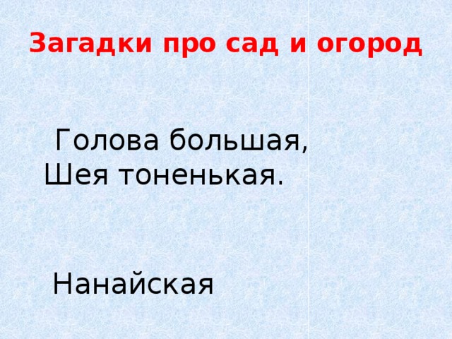 Загадки про сад и огород  Голова большая,   Шея тоненькая.      Нанайская