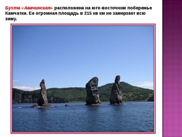 Бухта «Авачинская» расположена на юго-восточном побережье Камчатки. Ее огромная площадь в 215 кв км не замерзает всю зиму. 