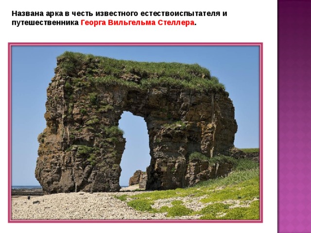 Названа арка в честь известного естествоиспытателя и путешественника Георга Вильгельма Стеллера . 