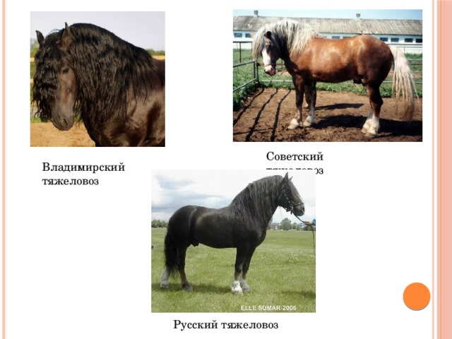 Двигатель и мощность