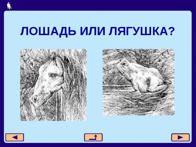 ЛОШАДЬ ИЛИ ЛЯГУШКА? 