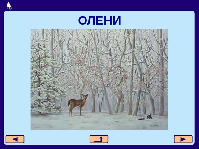 ОЛЕНИ 