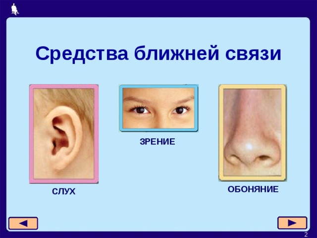 Средства ближней связи ЗРЕНИЕ ОБОНЯНИЕ СЛУХ   