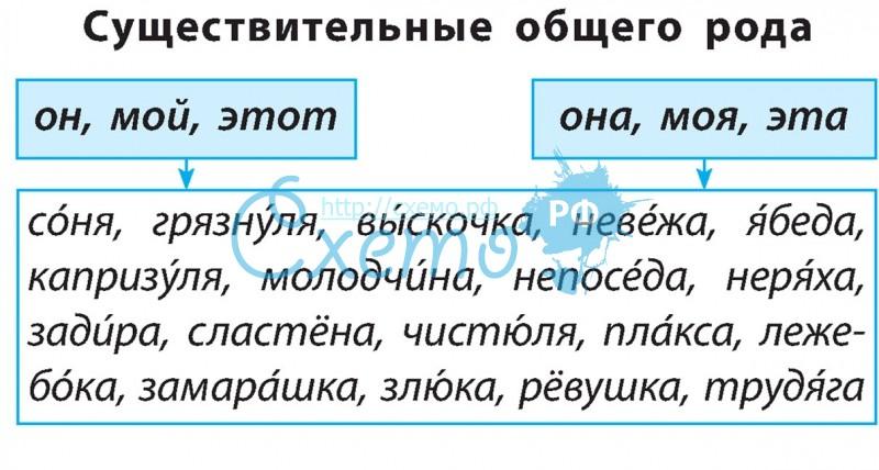 Предложите подпись к каждому рисунку используя существительные общего рода в форме именительного