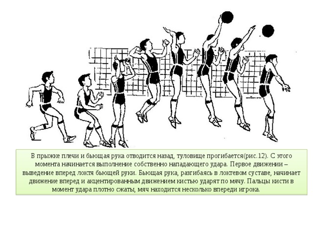 В прыжке плечи и бьющая рука отводится назад, туловище прогибается(рис.12). С этого момента начинается выполнение собственно нападающего удара. Первое движении – выведение вперед локтя бьющей руки. Бьющая рука, разгибаясь в локтевом суставе, начинает движение вперед и акцентированным движением кистью ударят по мячу. Пальцы кисти в момент удара плотно сжаты, мяч находится несколько впереди игрока.  