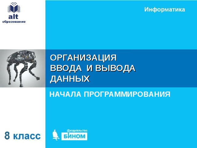 ОРГАНИЗАЦИЯ ВВОДА И ВЫВОДА ДАННЫХ НАЧАЛА ПРОГРАММИРОВАНИЯ 