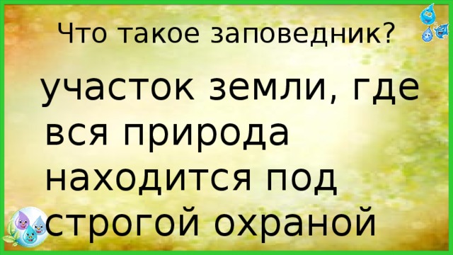 Что такое заповедник?  участок земли, где вся природа находится под строгой охраной 