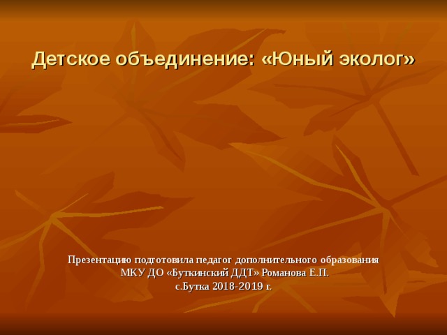 Детское объединение: «Юный эколог» Презентацию подготовила педагог дополнительного образования  МКУ ДО «Буткинский ДДТ» Романова Е.П. с.Бутка 2018 -2019 г. 