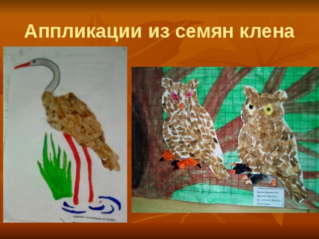 Аппликации из семян клена 