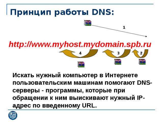 Принцип работы DNS: 1 http://www.myhost.mydomain.spb.ru 2 3 4 Искать нужный компьютер в Интернете пользовательским машинам помогают DNS-серверы - программы, которые при обращении к ним выискивают нужный IP-адрес по введенному URL.  
