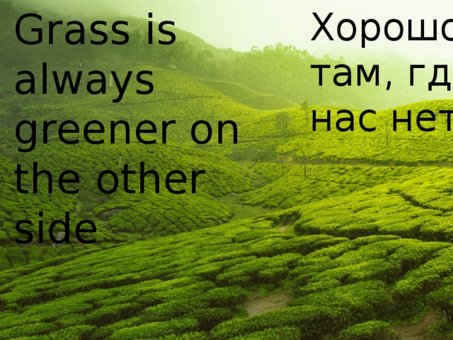 Grass is always greener on the other side Хорошо там, где нас нет 