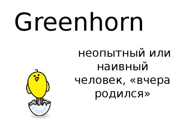 Greenhorn   неопытный или наивный человек, «вчера родился» 