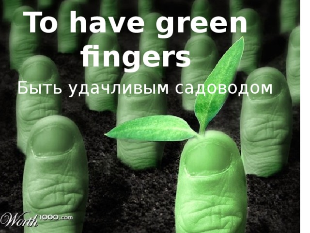 To have green fingers Быть удачливым садоводом 