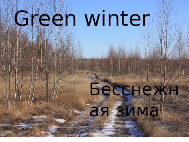 Green winter  Бесснежная зима 