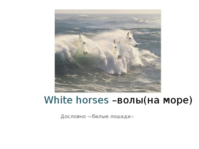White horses –волы(на море) Дословно -«белые лошади» 