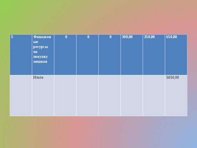 5 Финансовые ресурсы на покупку мешков Итого: 0 0     0 300,00     350,00 650,00   5650,00 