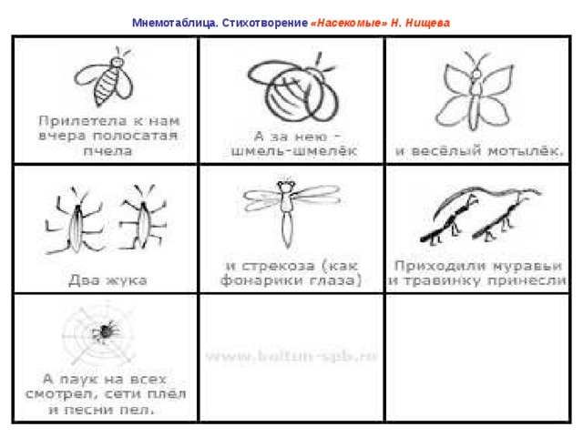 Схема для составления рассказа о насекомых