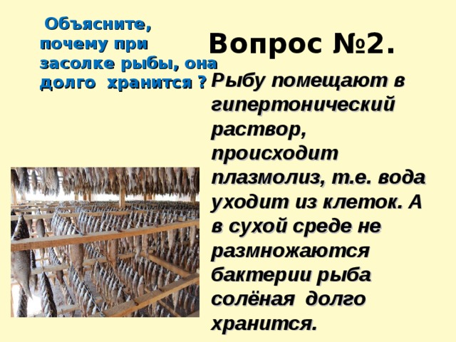  Объясните, почему при засолке рыбы, она долго хранится ?  Вопрос №2. Рыбу помещают в гипертонический раствор, происходит плазмолиз, т.е. вода уходит из клеток. А в сухой среде не размножаются бактерии рыба солёная долго хранится. 