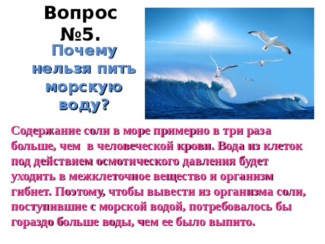 Вопрос №5.  Почему нельзя пить морскую воду?  Содержание соли в море примерно в три раза больше, чем в человеческой крови. Вода из клеток под действием осмотического давления будет уходить в межклеточное вещество и организм гибнет. Поэтому, чтобы вывести из организма соли, поступившие с морской водой, потребовалось бы гораздо больше воды, чем ее было выпито. 