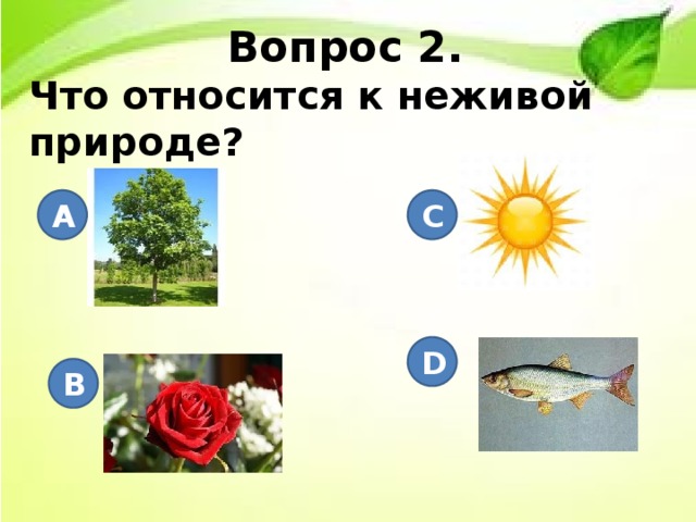 Тест по теме картины русской природы 3 класс перспектива с ответами