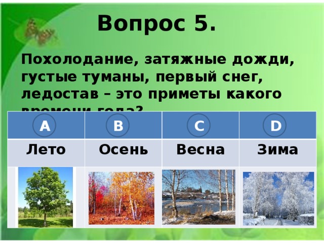 Какая погода времена года