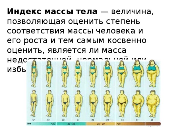 Характеристика массы людей