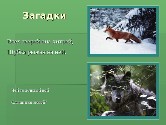 В зоне лесов. Животные леса - презентация к уроку Окружающий мир - скачать презе