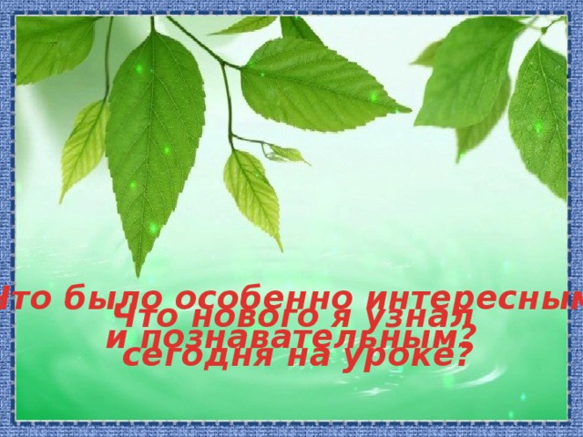 Что было особенно интересным и познавательным?  Что нового я узнал сегодня на уроке?  
