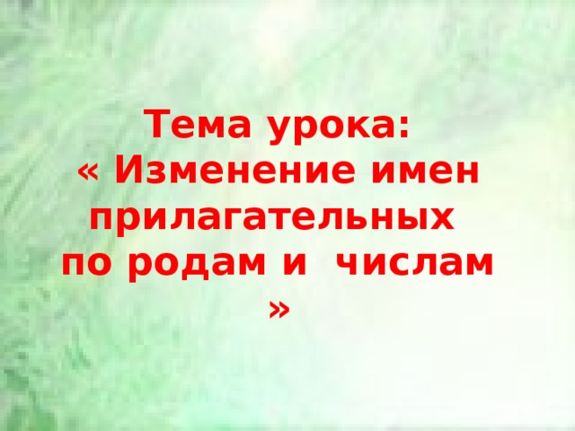 Тема урока: « Изменение имен прилагательных по родам и числам » 