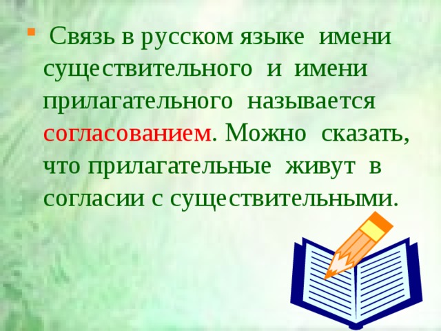  Связь в русском языке имени существительного и имени прилагательного называется согласованием . Можно сказать, что прилагательные живут в согласии с существительными. 