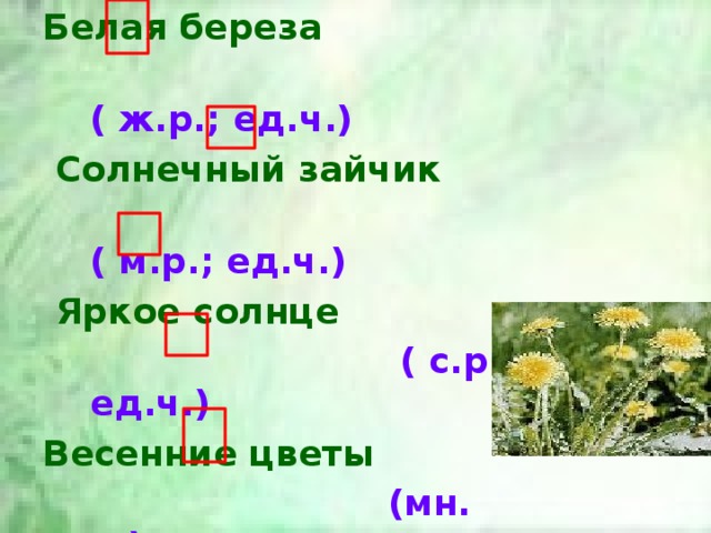 Белая береза  ( ж.р.; ед.ч.)  Солнечный зайчик   ( м.р.; ед.ч.)  Яркое солнце  ( с.р.; ед.ч.) Весенние цветы  (мн. ч.)  Мохнатая пчёлка  ( ж.р.; ед.ч.) 