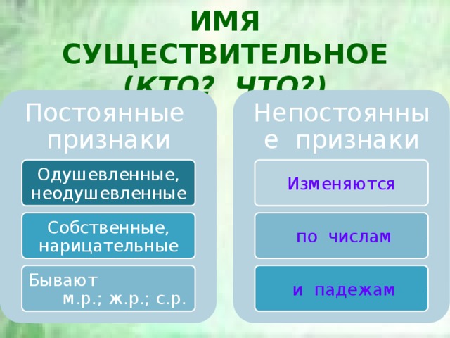 Имена существительные одушевленные постоянные признаки. Существительное постоянные признаки. Постоянные признаки имен существительных. Имя существительное постоянные и непостоянные признаки. Признаки имени существительного 3 класс.