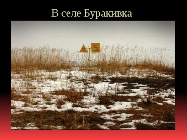 В селе Буракивка 