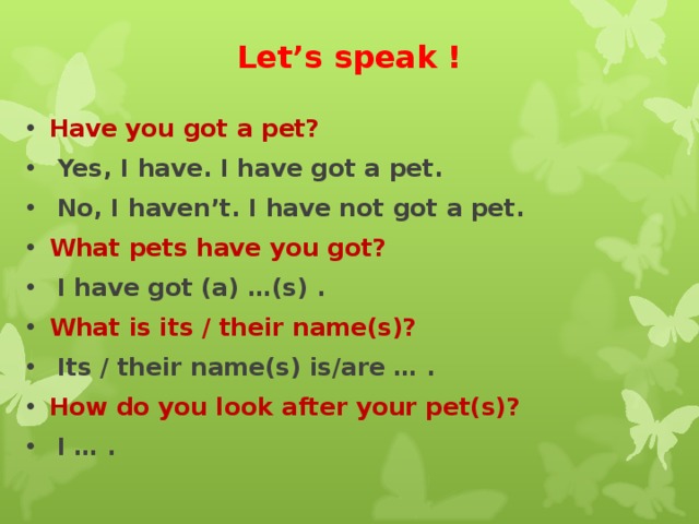 I haven t got. Have you got a Pet. Ответ на вопрос have you got a Pet. Have you got a Pet ответить на вопрос. Как ответить на вопрос have you got a Pet.