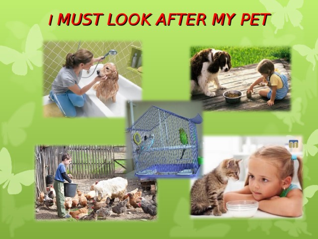 Look after your pet