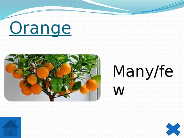 Orange Many/few 