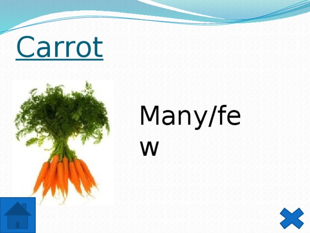 Carrot Many/few 