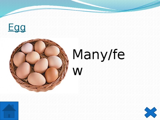  Egg Many/few 
