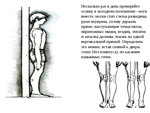 Несколько раз в день проверяйте осанку в исходном положении - ноги вместе, носки стоп слегка разведены, руки опущены, голову держать прямо: выступающие точки пяток, икроножных мышц, ягодиц, лопаток и затылка должны лежать на одной вертикальной прямой. Определить это можно, встав спиной к двери, стене (без плинтуса), по касанию названных точек.   