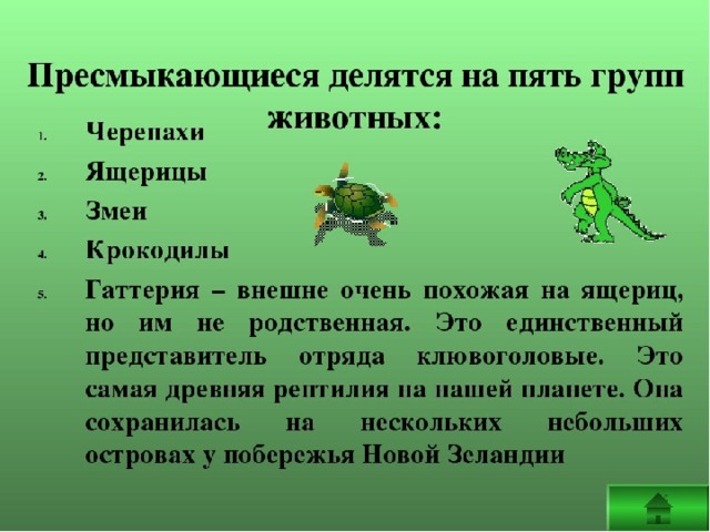 Сообщение о пресмыкающихся 2 класс окружающий мир. Сообщение о пресмыкающихся животных 3 класс. Доклад на тему пресмыкающиеся 3 класс окружающий мир. Доклад о пресмыкающихся. Презентация про пресмыкающихся.