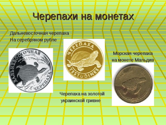 Черепахи на монетах Дальневосточная черепаха На серебряном рубле  Морская черепаха  на монете Мальдив  Черепаха на золотой  украинской гривне 